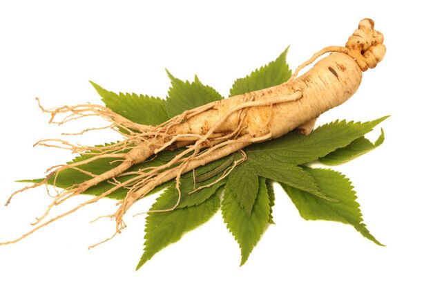 Ginseng -Wurzel im Aerosol Nicode
